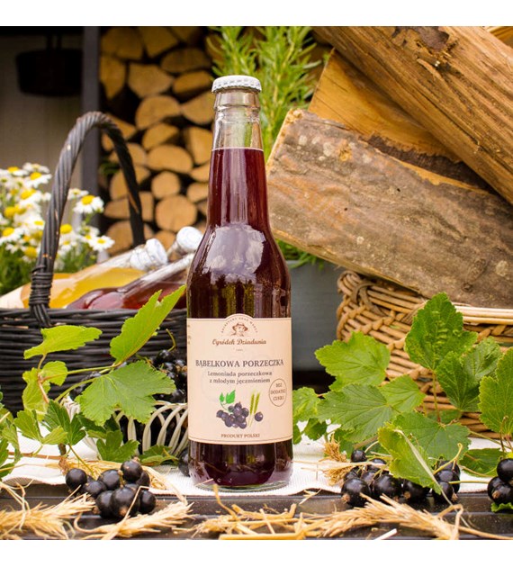 Lemoniada porzeczkowa z młodym jęczmieniem - Bąbelkowa porzeczka z młodym jęczmieniem