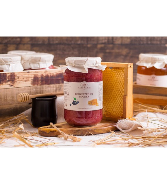Miód wielokwiatowy z porzeczką - Porzeczkowy miodek