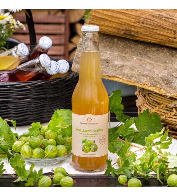 Lemoniada agrestowa z pokrzywą - Bąbelkowy agrest z pokrzywą