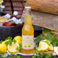 Lemoniada cytrynowa z miętą - Bąbelkowa cytryna z miętą