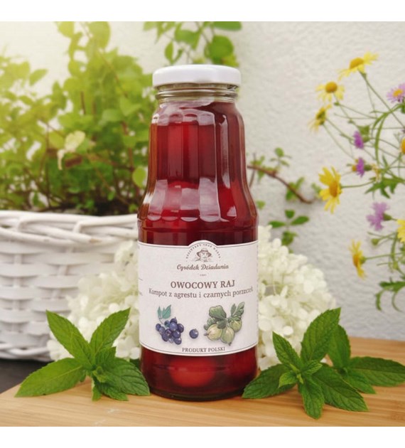 Kompot z agrestu i czarnej porzeczki 300 ml OD