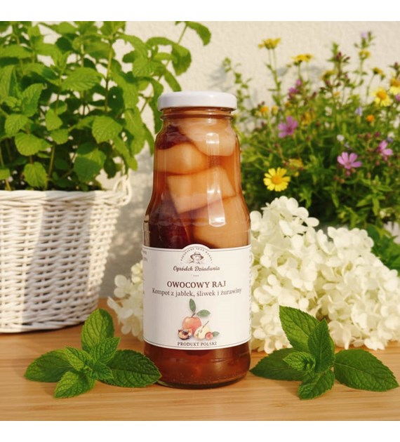 Kompot z jabłek, śliwek i żurawiny 300 ml OD
