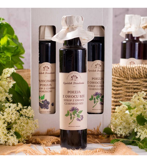 Syrop z owocu czarnego bzu - Poezja z owocu bzu