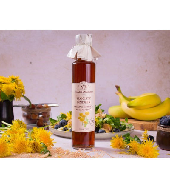 Syrop z mniszka - Złocisty Mniszek